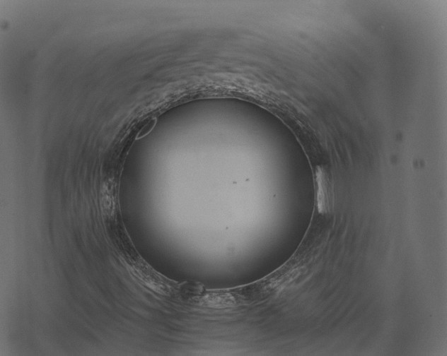 X0000073921491200608181036