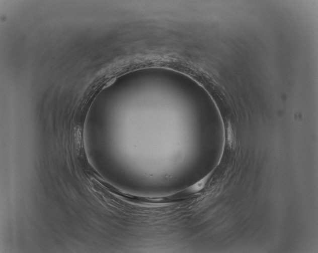 X0000073921492200608181036