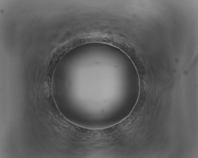 X0000073921493200608181036