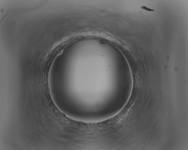 X0000073921494200608181036