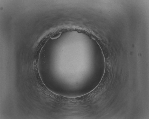 X0000073921495200608181036