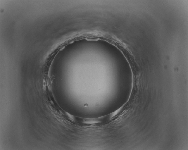 X0000073921496200608181036