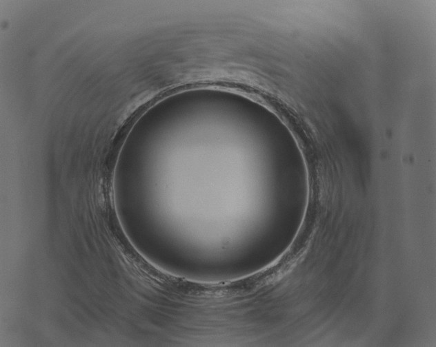 X0000073921497200608181036