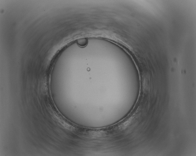 X0000073921498200608181036