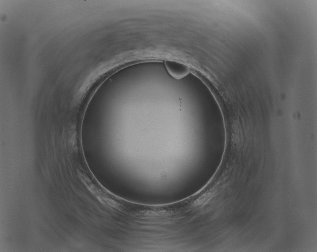 X0000073921499200608181036