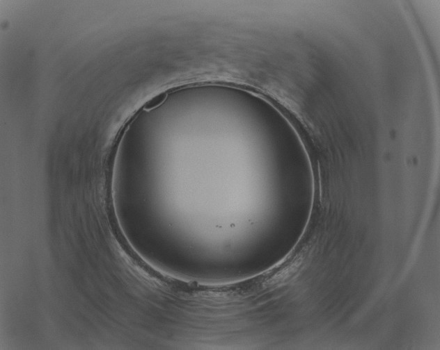 X0000073921500200608181036