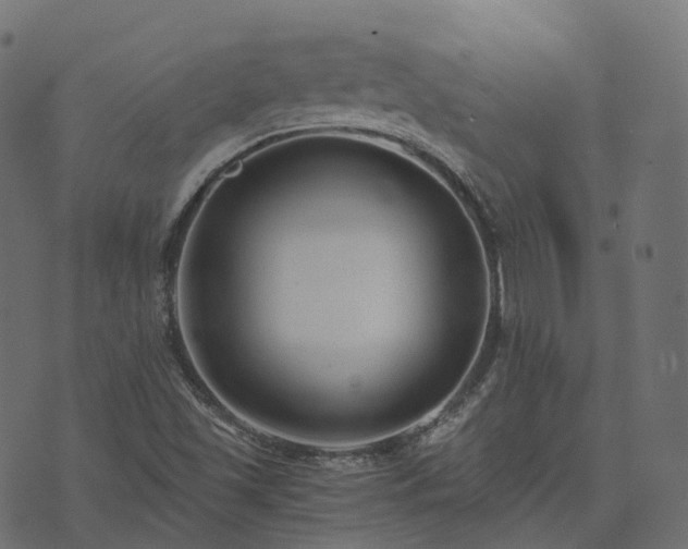 X0000073921501200608181036