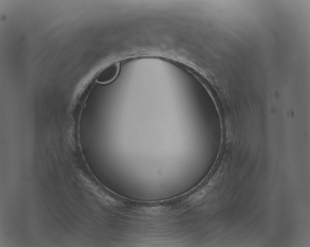 X0000073921502200608181036