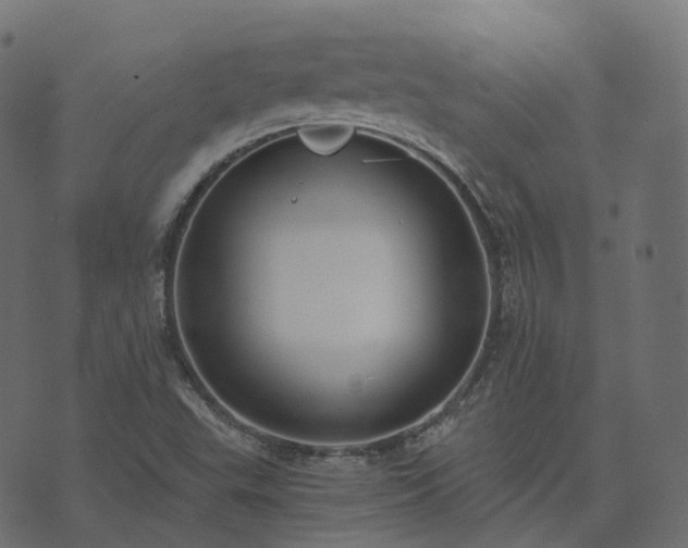 X0000073921503200608181036