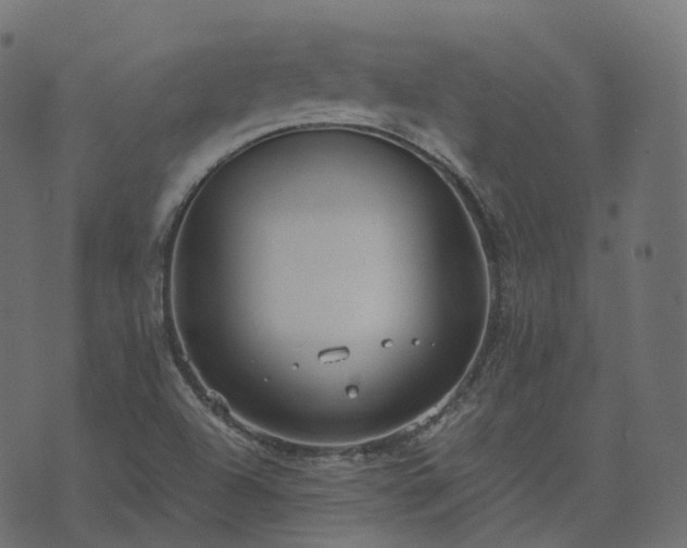 X0000073921504200608181036