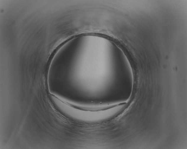 X0000073921505200608181036