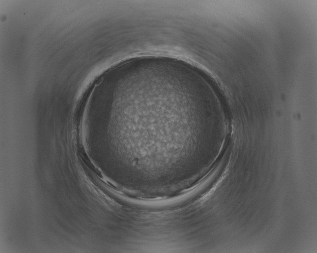 X0000073921506200608181036