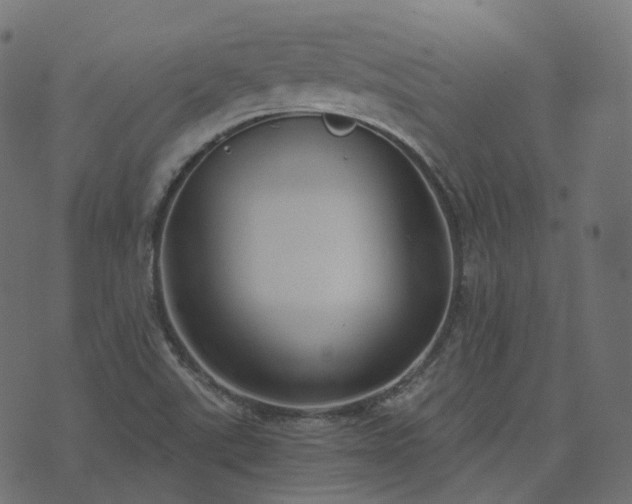 X0000073921507200608181036