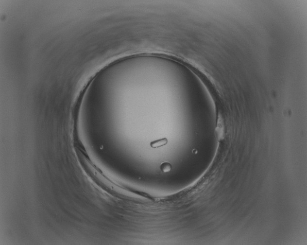 X0000073921508200608181036