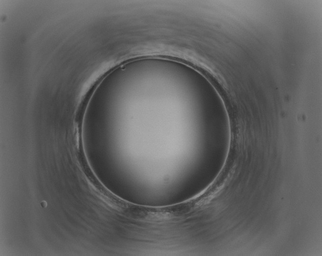 X0000073921509200608181036