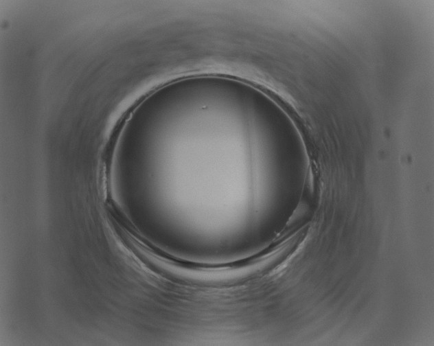 X0000073921510200608181036