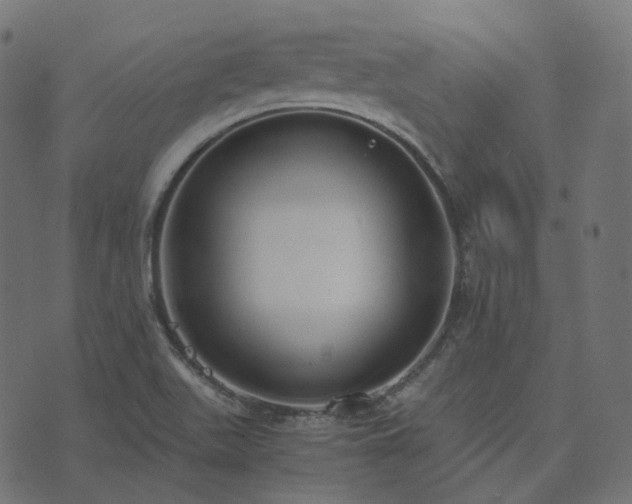 X0000073921511200608181036