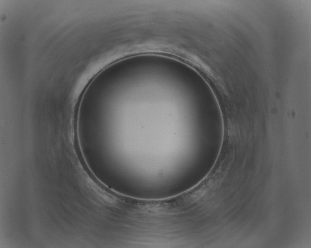 X0000073921512200608181036