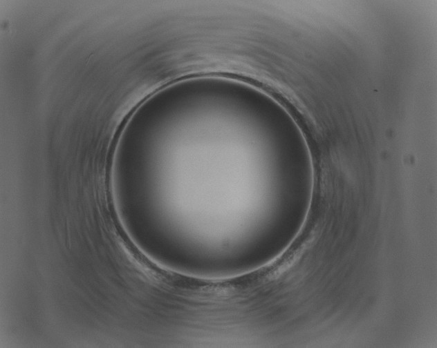 X0000073921513200608181036