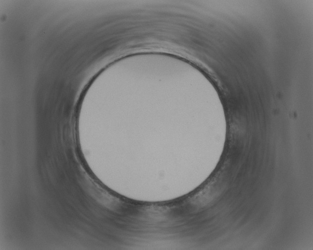 X0000073921514200608181036