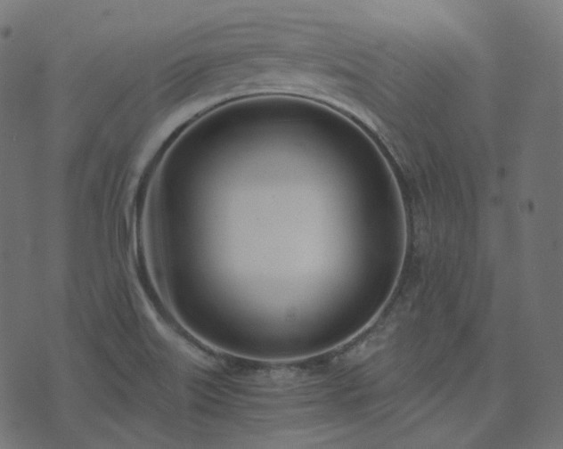 X0000073921515200608181036