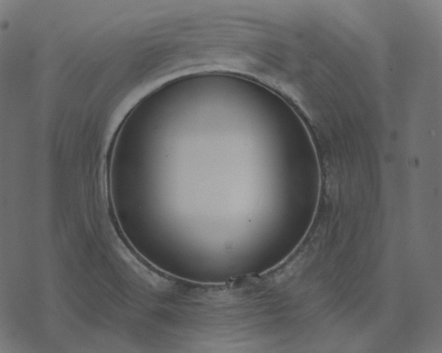 X0000073921516200608181036