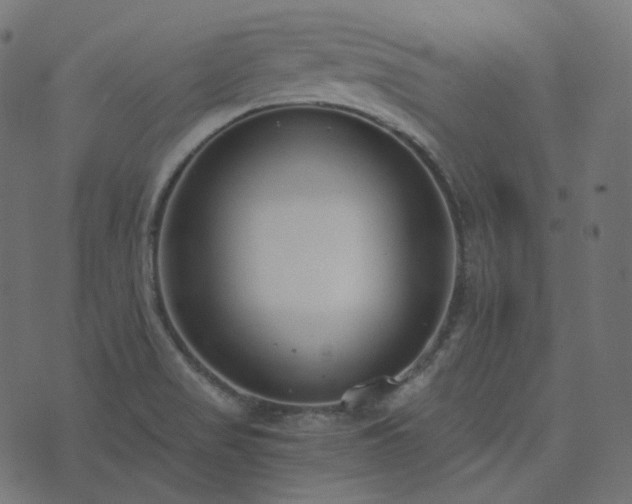 X0000073921517200608181036