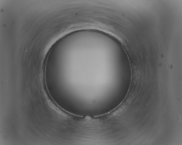 X0000073921518200608181036