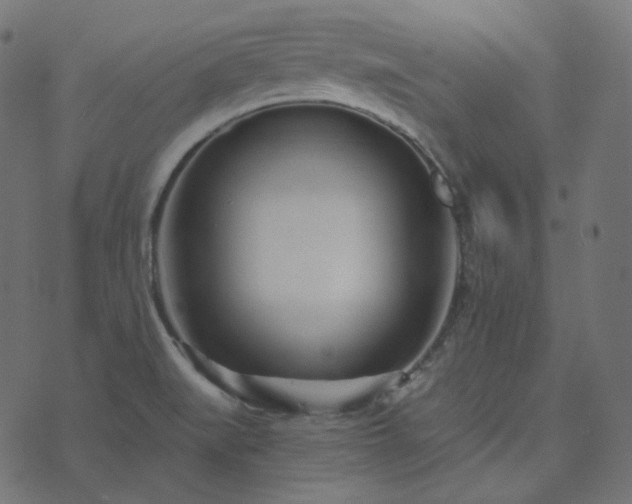 X0000073921519200608181036