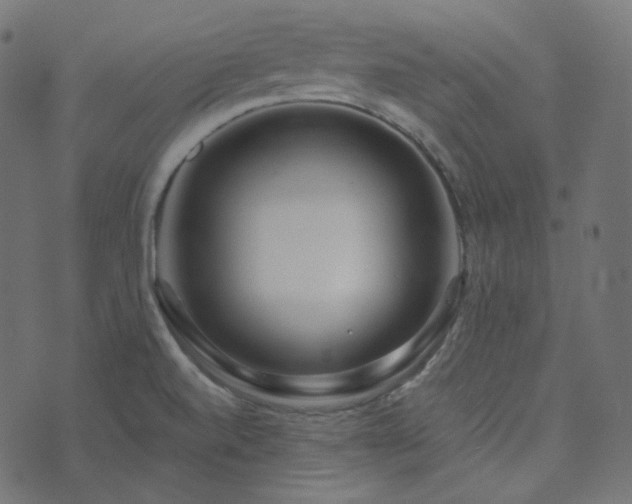 X0000073921520200608181036