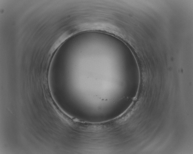 X0000073921521200608181036