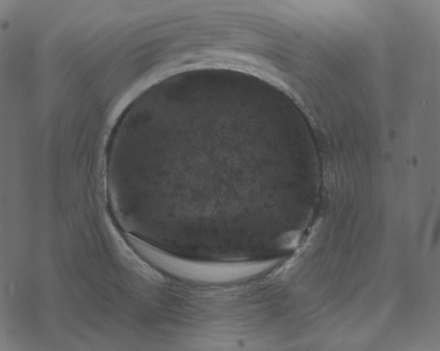 X0000073921522200608181036