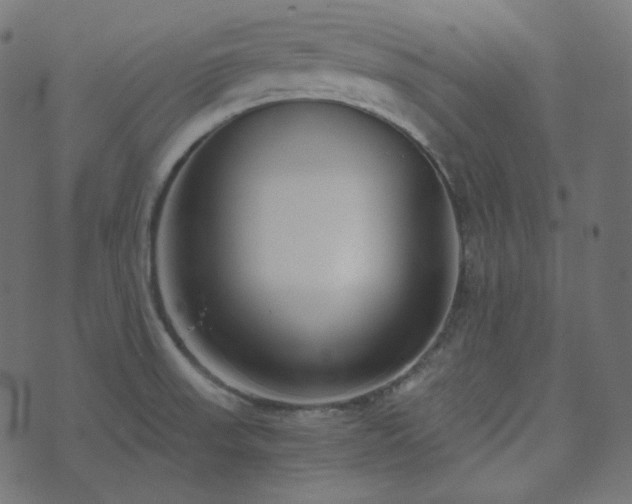 X0000073921523200608181036