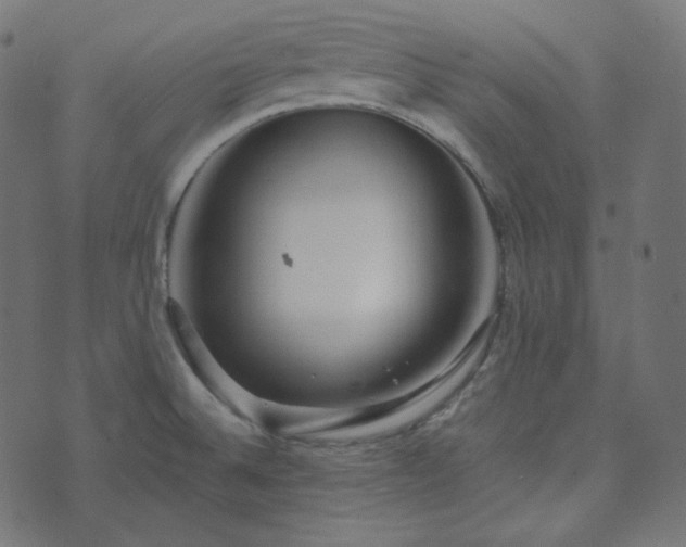 X0000073921524200608181036