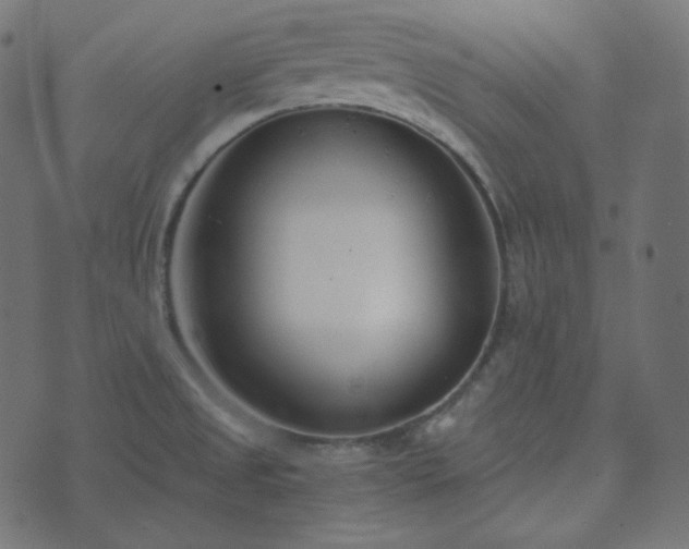 X0000073921525200608181036