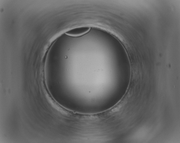 X0000073921526200608181036