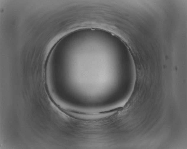 X0000073921527200608181036