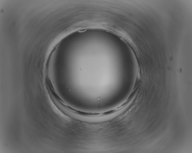 X0000073921528200608181036