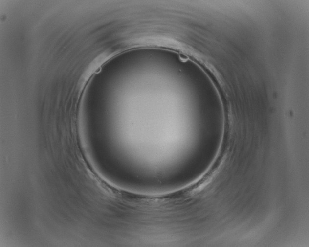 X0000073921529200608181036