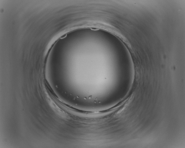 X0000073921530200608181036