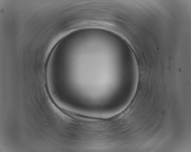 X0000073921531200608181036