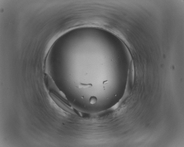 X0000073921532200608181036