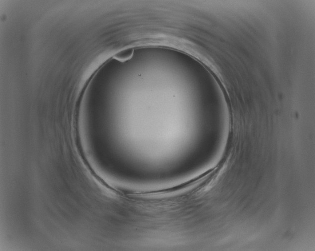 X0000073921533200608181036