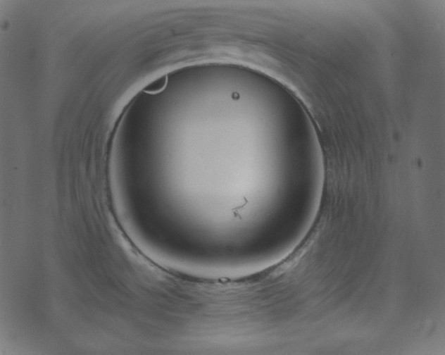 X0000073921534200608181036