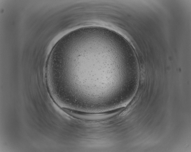 X0000073921535200608181036