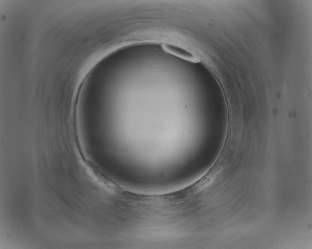 X0000073921536200608181036