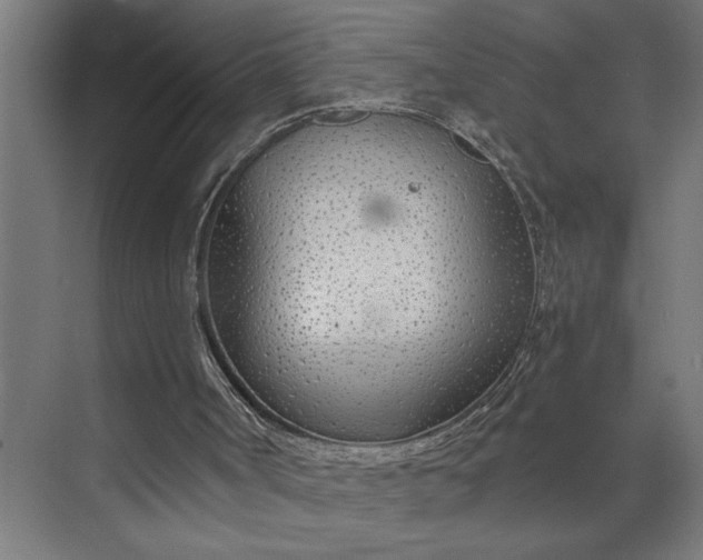 X0000073920002200608251601