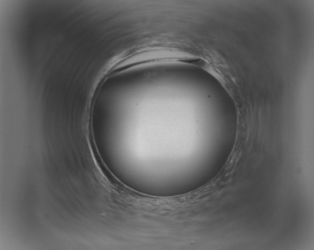 X0000073920003200608251601