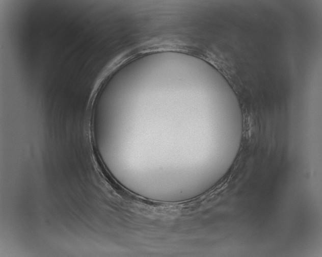 X0000073920004200608251601