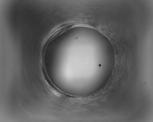 X0000073920005200608251601